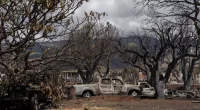 Maui police release body camera footage from deadly Lahaina wildfire
