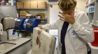 Lab director Dr Nurit Bublil wept as she was overwhelmed at seeing a bloodied cot mattress being analysed
