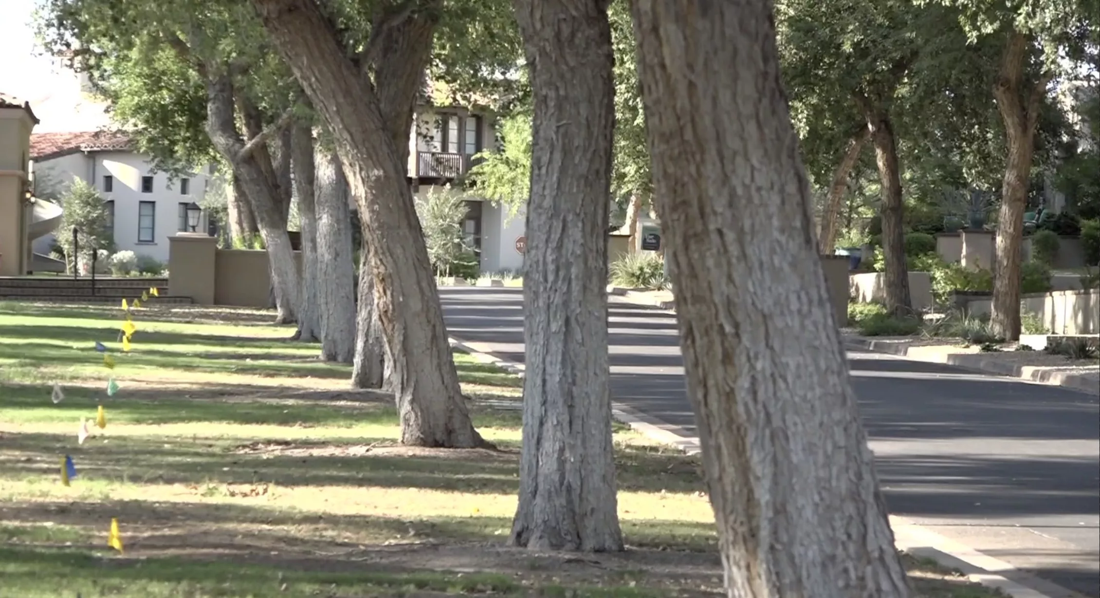 Residents are fighting back against an HOA cutting their trees down