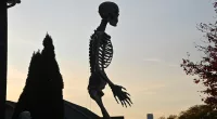 The 12-foot-tall Home Depot skeleton has taken the country by storm but Casey Bassett's HOA was not happy by his addition to the household in late August