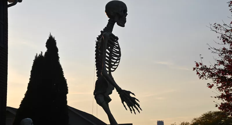The 12-foot-tall Home Depot skeleton has taken the country by storm but Casey Bassett's HOA was not happy by his addition to the household in late August