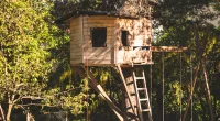 A homeowner is considering going to the police, claiming the neighbor's children ruined a homemade treehouse