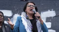 NINE Democrats including Rashida Tliab vote AGAINST condemning Hamas