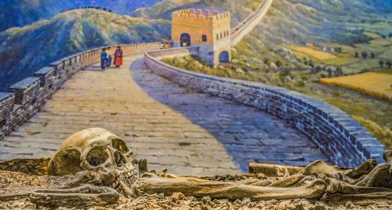 NYC's Museum of Natural History to pull human remains from public display