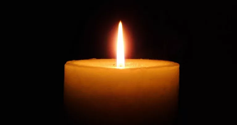 New York Liam Mcmanus Obituary And Death Cause: Family