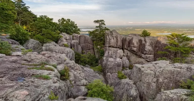 Obituary: UGA Student Yutung Zhang Accident Linked To Death