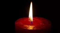 Sean Doyle obituary