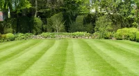Solera Properties is doing away with traditional lawns