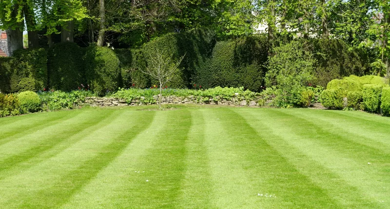 Solera Properties is doing away with traditional lawns