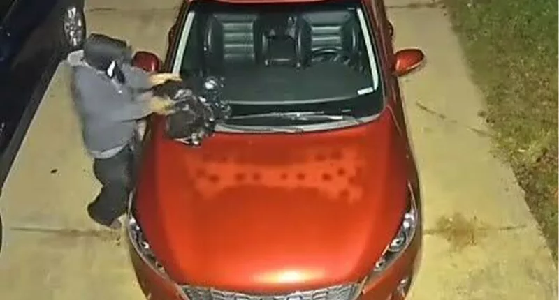 Person captured on Ring camera dumping raccoon corpse on Massachusetts woman's car before ditching scene