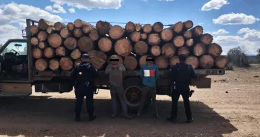 Police, Mexican army looking for missing loggers