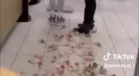 Pro-Palestine activist releases dozens of mice loose in McDonald's