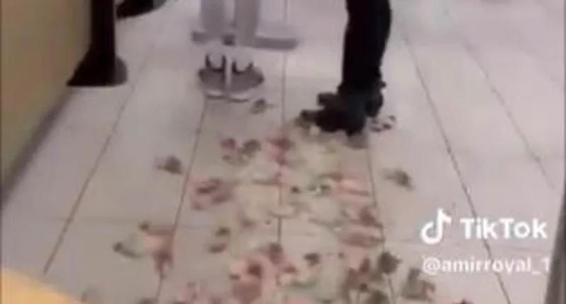 Pro-Palestine activist releases dozens of mice loose in McDonald's