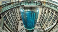 Prosecutors close probe into massive Berlin aquarium collapse