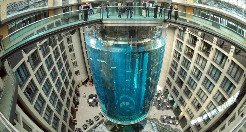 Prosecutors close probe into massive Berlin aquarium collapse