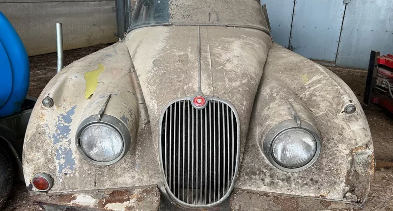 Rust bucket 1958 Jaguar car once used as chicken coop is discovered