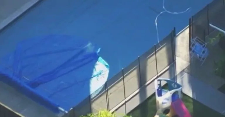 San Jose Lillian Hanan Obituary And Death Cause