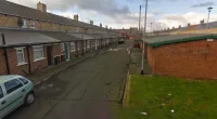 A young schoolboy was rushed to hospital after being mauled by ‘Staffordshire Bull Terrier’