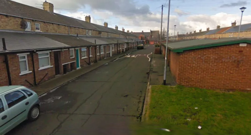 A young schoolboy was rushed to hospital after being mauled by ‘Staffordshire Bull Terrier’