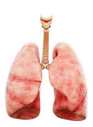 UK’s Deadliest Cancer: Lung Cancer, Its Symptoms And Causes