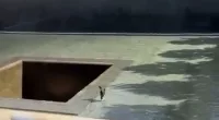 The unnamed 33-year-old man was seen walking towards the central void in the 9/11 memorial pool