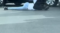 Shocking moment female 'burglar' is punched to ground by male cop