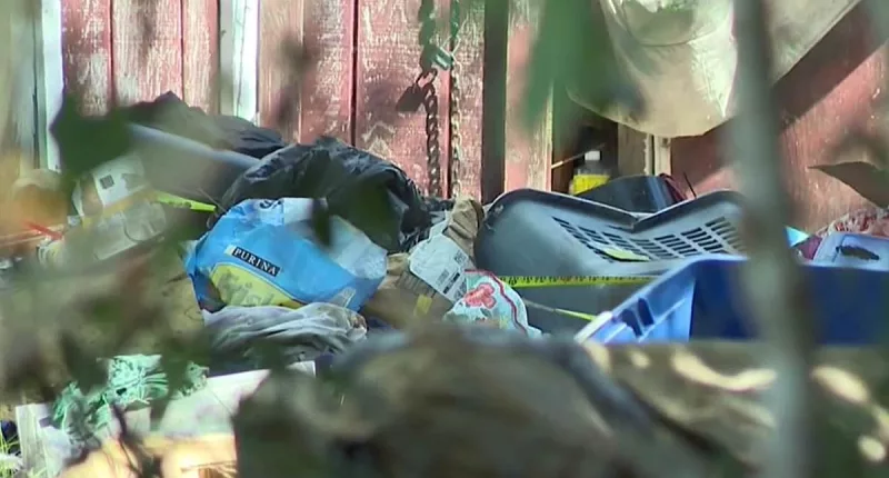 Squatters, homeless in Florida, leave neighborhood covered in trash