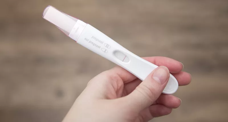 Studies reveal effect of PFAS, food additives on reproductive health