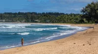 The beach is closed to swimmers following the reported shark attack on Sunday