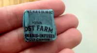 THC gummies found in candy stash at elementary school event
