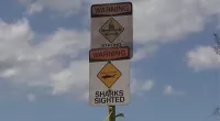 Surfers in Hawaii have been warned about the annual spike in shark incidents every October