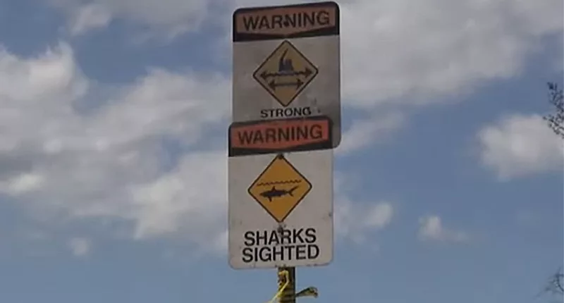 Surfers in Hawaii have been warned about the annual spike in shark incidents every October