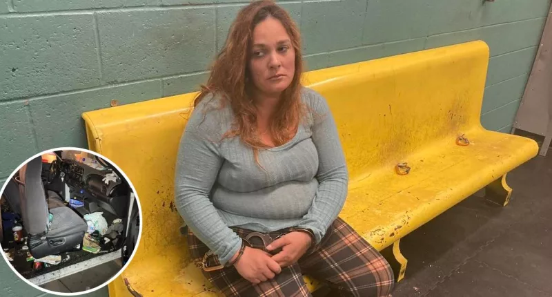 Trista Dawn Fullerton abducted 8 kids: Police