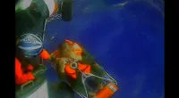 US Coast Guard saves North Carolina catamaran sailors in dramatic helicopter rescue