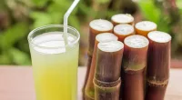 Unveiling the Power of Sugarcane Juice: 7 Health Benefits | Stock Photo
