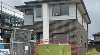 The couple discovered the green box during a routine inspection of their new home
