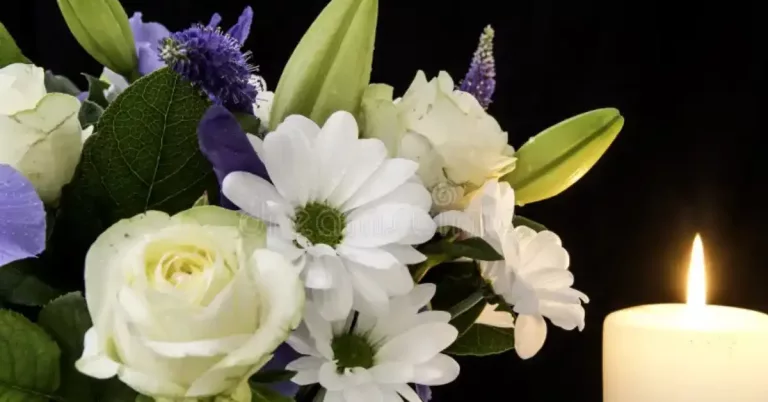 Wellington NZ Fabian Westermann Obituary And Death Cause