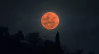 What Is a Lunar Eclipse? Here Are the Different Types, What They Mean, and When They Occur