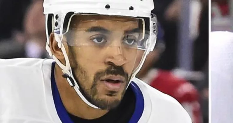 Who Hit Adam Johnson Minneapolis? Matt Petgrave Arrest