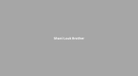Shani Louk Brother