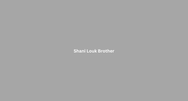 Shani Louk Brother
