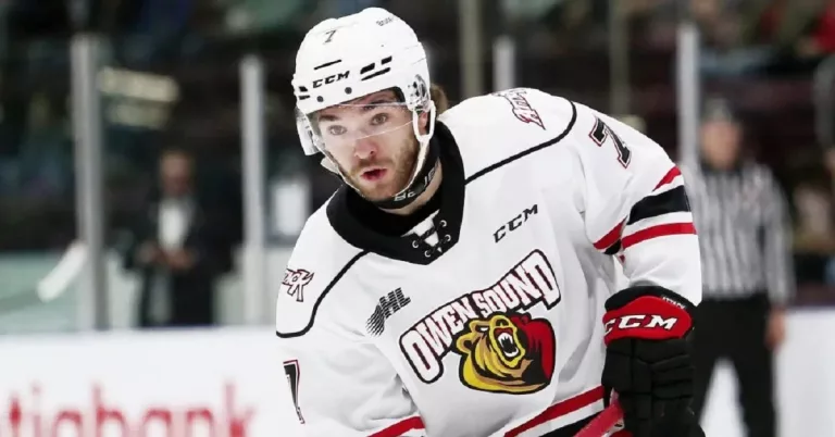 Who Was Sylvain Lessard? Lakeshore Canadiens Star Wikipedia