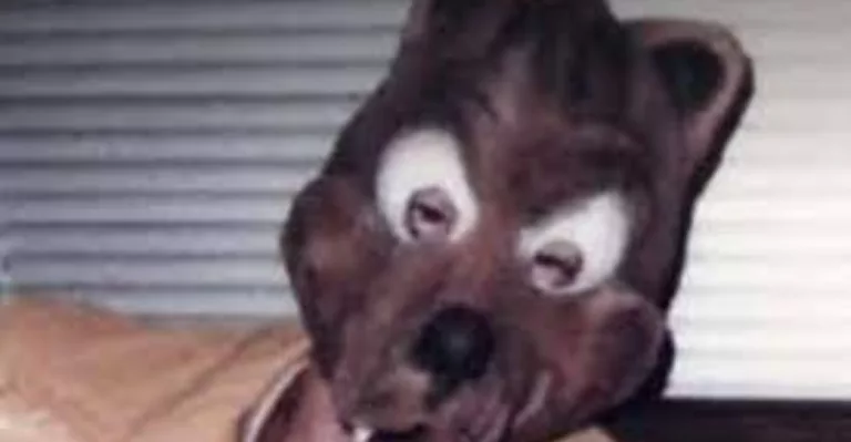 William Michael Dennis Wikipedia And Age: Where Is He Now?