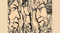 You could be in the top one per cent if you can spot all nine faces in this woodland drawing