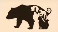 You're in the top one per cent of people if you can spot all animals in this optical illusion