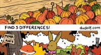 You have a high ‘eye-Q’ if you can spot the five differences in the cosy autumn scene on less than 23 seconds