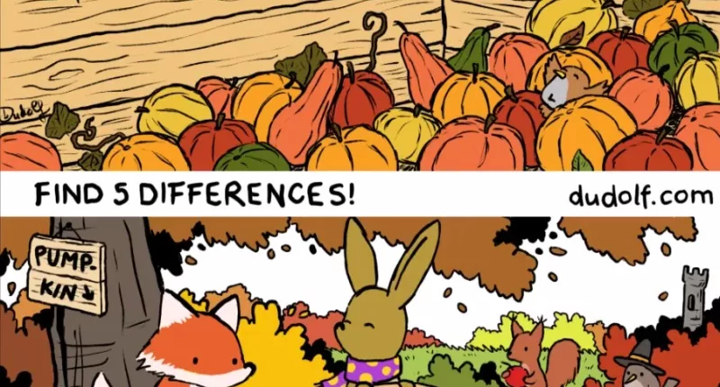 You have a high ‘eye-Q’ if you can spot the five differences in the cosy autumn scene on less than 23 seconds