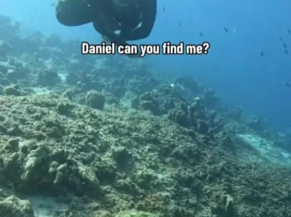 Most people will not see the flounder camouflaged against the coral