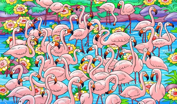 You might just have the IQ of a heroic lifeguard if you can spot the missing girl among the flock of flamingos in less than seven seconds