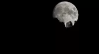 Can you prove the moon is a mind-melting illusion in just 10 seconds using your finger?